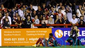 Formbook goes out the window as Crawley stun Fulham