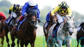 Melbourne Cup features in number of exciting choices for Alfred Boucher