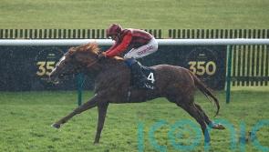 Stormy Antarctic aiming for Goodwood celebration