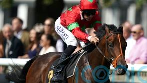 Classic stakes Champagne claim with Newmarket verdict
