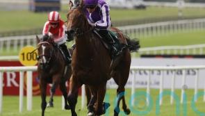 &lsquo;Sore&rsquo; Little Big Bear set to miss National Stakes