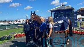 Kitsune Power-s to Silver Cup prize at Beverley