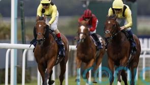 Celebration time for Crisfords with Goodwood one-two