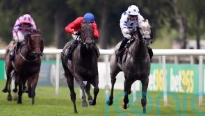 Curragh calls for Flying Five hopeful Twilight