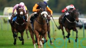 Raasel could seek Flying Five honours at the Curragh