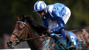 Minzaal sights set on first top-level triumph this weekend