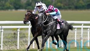 Internationalangel could be set for Breeders&rsquo; Cup adventure