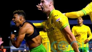 Onel Hernandez hurts Birmingham with last-gasp winner for in-form Norwich