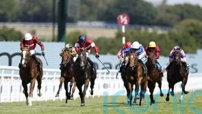 Moore planning Park spin for The Wizard Of Eye