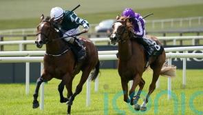 Harrington waiting on Magical Lagoon plans