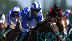 &lsquo;Favourite&rsquo;s chance&rsquo; of a deserved Group One for Minzaal