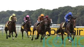 Naval Power rises to the top in Ascendant Stakes