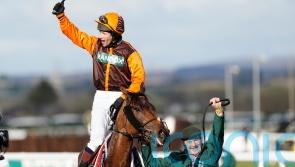 National hero Waley-Cohen excited for riding return