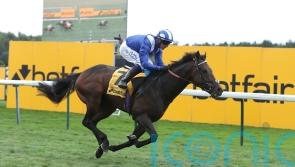 Sprint Cup hero Minzaal retired due to injury