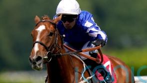 Dance In The Grass out to maintain unbeaten run in May Hill date