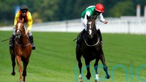 &lsquo;Minor&rsquo; injury scuppers Pyledriver&rsquo;s Arc hopes