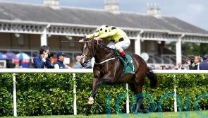 Cold Case solves big sales race puzzle at Doncaster