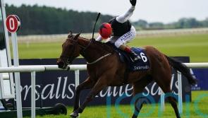 Homeless Songs &lsquo;in great order&rsquo; for Leopardstown showdown