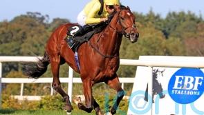 Jadoomi could have earned QEII tilt with Leopardstown victory