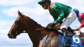 Ascot likely focus for Vadeni, with Arc ruled out