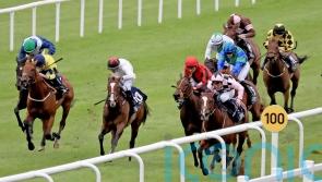 Streets proving to be paved with gold for Johnson Houghton