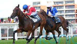 Sacred &lsquo;in a better place&rsquo; but Newbury could be final run