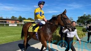 Newbury victory books Champions Day ticket for Stay Alert