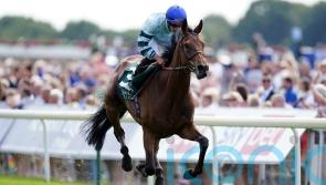 Quickthorn &lsquo;in great form&rsquo; for Cadran challenge