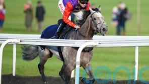 Newmarket salutes the Queen with royal gallopers