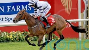 No Risk No Fun puts down Grade One marker at Listowel