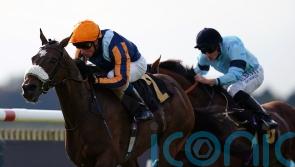 Nate The Great rules in Rose Bowl Stakes