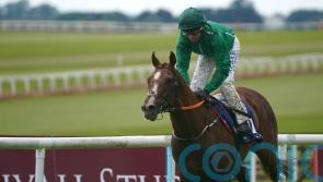 HMS Seahorse sets sail for Curragh riches