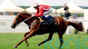 Buick booked for Saffron Beach reunion at Newmarket