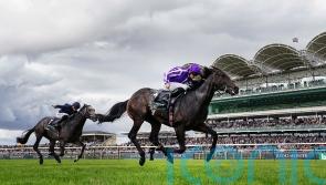 Blackbeard in Breeders&rsquo; Cup frame following Middle Park glory