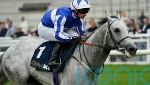 Art powers home in Renaissance defence