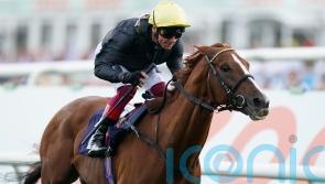 Staying superstar Stradivarius retired to stud