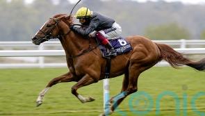 Nielsen feels timing was right as Stradivarius heads to stud