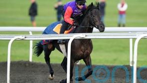 Educator to be landmark first runner for the King