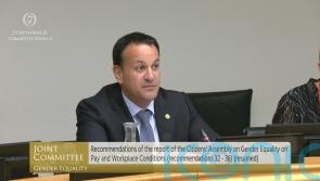 Promotional bias &lsquo;barrier&rsquo; for women getting into leadership roles &ndash; Tanaiste