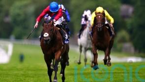 Bay Bridge on course to take on Baaeed