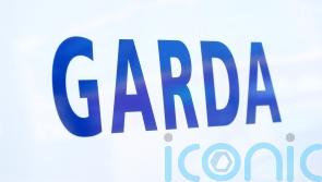 Man arrested after car crashes through gates at Sinn Fein TD&rsquo;s home