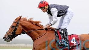 Kyprios out to cap brilliant season with Cadran success