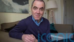 Political leaders and actors among those set to take part in Irish unity rally