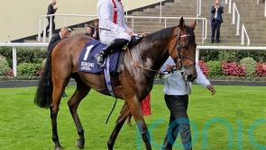Hamish lifts Lodge honours with ease at Ascot