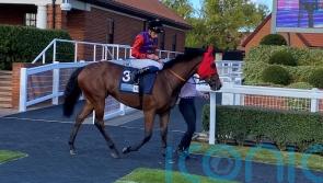 No royal winner for the King as Saturday runners are unplaced