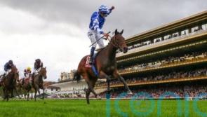 Blue Rose Cen blossoms in Boussac for Christopher Head