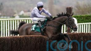 My Drogo unlikely to be back before spring