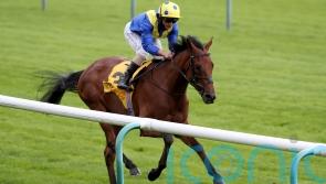 Favourite Moon set for Newmarket return in Cesarewitch