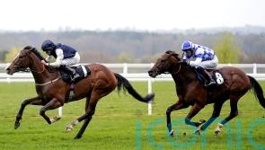 Evans confident Rohaan can mix it on Champions Day