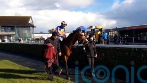 Salt Lake City latest O&rsquo;Brien juvenile to impress